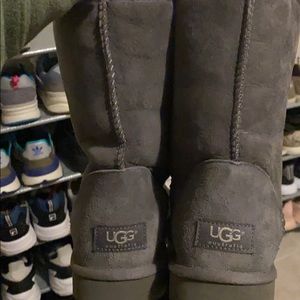 Ugg boots brand new without tags